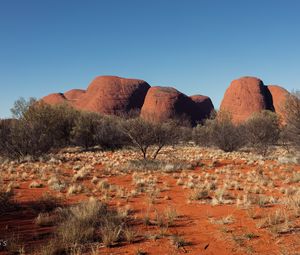 Preview wallpaper tree, rocks, desert, nature