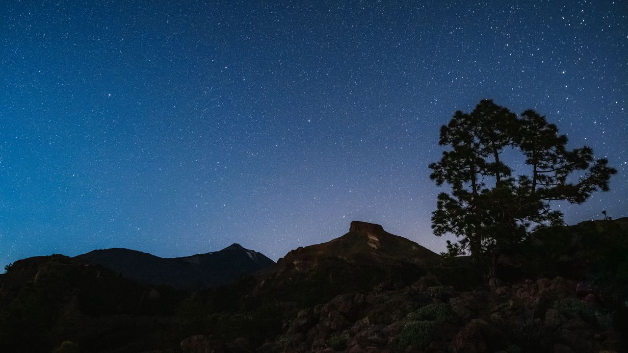 Wallpaper tree, rocks, starry sky, stars, night, dark