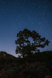 Preview wallpaper tree, rocks, starry sky, stars, night, dark