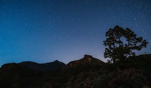 Preview wallpaper tree, rocks, starry sky, stars, night, dark