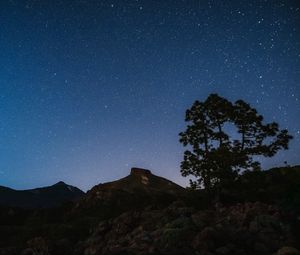 Preview wallpaper tree, rocks, starry sky, stars, night, dark