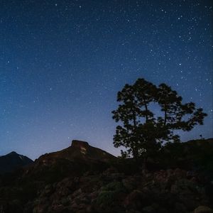 Preview wallpaper tree, rocks, starry sky, stars, night, dark