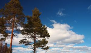 Preview wallpaper tree, shore, grass, lake, ice, winter, cold