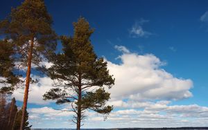 Preview wallpaper tree, shore, grass, lake, ice, winter, cold