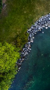 Preview wallpaper tree, shore, river, stones, aerial view, nature