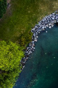 Preview wallpaper tree, shore, river, stones, aerial view, nature