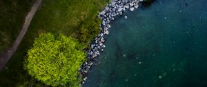 Preview wallpaper tree, shore, river, stones, aerial view, nature