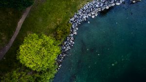 Preview wallpaper tree, shore, river, stones, aerial view, nature