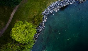Preview wallpaper tree, shore, river, stones, aerial view, nature