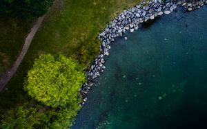 Preview wallpaper tree, shore, river, stones, aerial view, nature