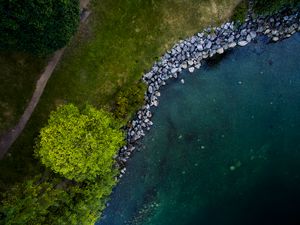 Preview wallpaper tree, shore, river, stones, aerial view, nature