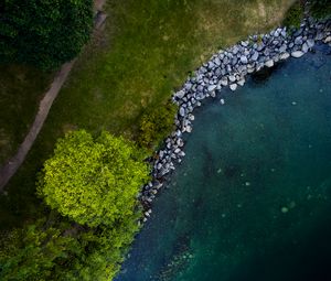 Preview wallpaper tree, shore, river, stones, aerial view, nature