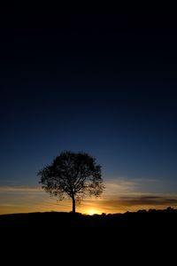 Preview wallpaper tree, silhouette, branches, sunset, sky