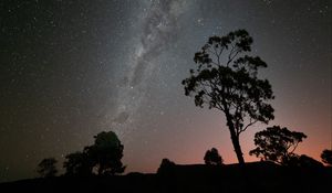 Preview wallpaper tree, silhouette, branches, starry sky, night