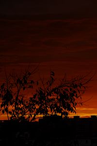 Preview wallpaper tree, silhouette, city, dusk, dark