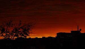 Preview wallpaper tree, silhouette, city, dusk, dark