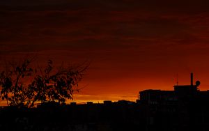 Preview wallpaper tree, silhouette, city, dusk, dark