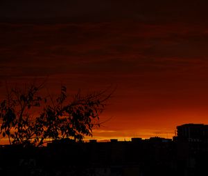 Preview wallpaper tree, silhouette, city, dusk, dark