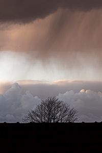 Preview wallpaper tree, silhouette, clouds, twilight, dark