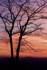 Preview wallpaper tree, silhouette, dark, dusk, sunset