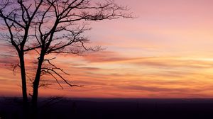 Preview wallpaper tree, silhouette, dark, dusk, sunset