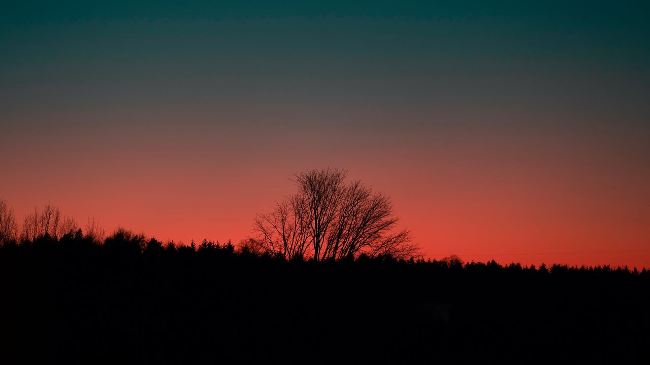 Wallpaper tree, silhouette, dark, sunset, dusk