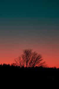 Preview wallpaper tree, silhouette, dark, sunset, dusk