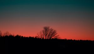 Preview wallpaper tree, silhouette, dark, sunset, dusk