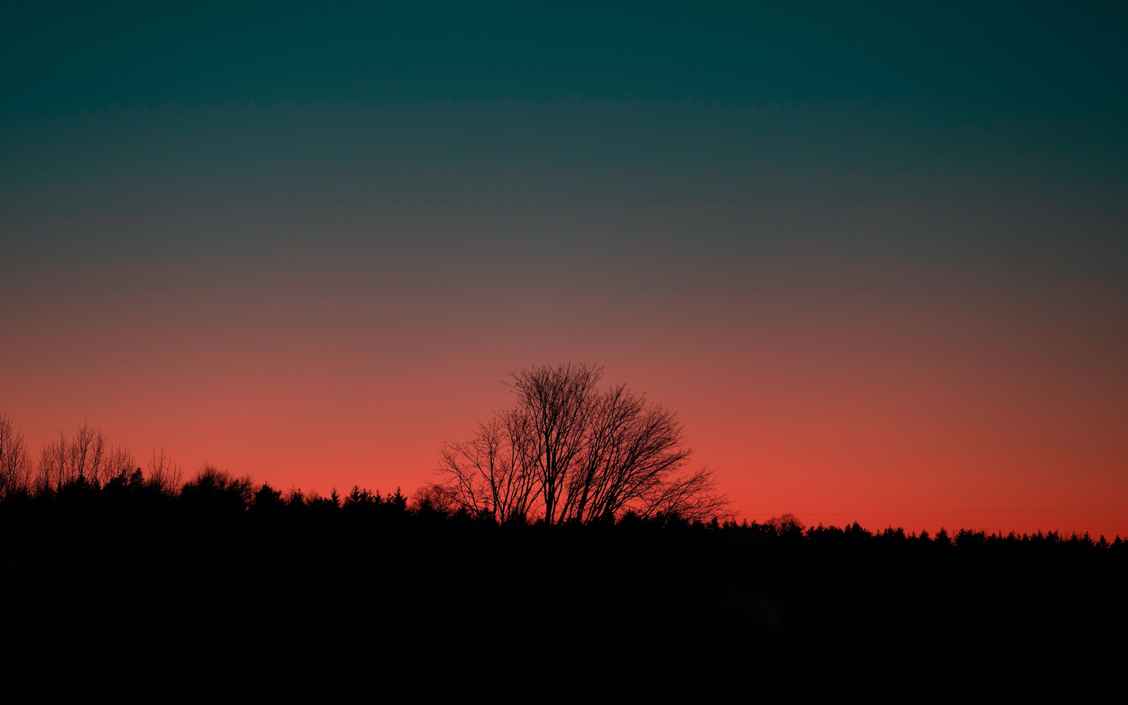 Download Wallpaper 3840x2400 Tree Silhouette Dark Sunset Dusk 4k