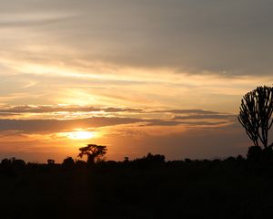 Preview wallpaper tree, silhouette, evening, clouds