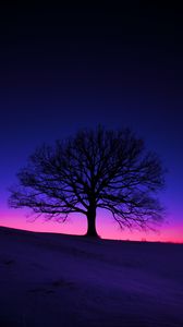 Preview wallpaper tree, silhouette, field, dusk, dark