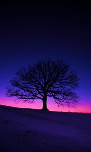 Preview wallpaper tree, silhouette, field, dusk, dark