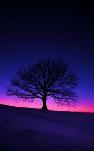 Preview wallpaper tree, silhouette, field, dusk, dark