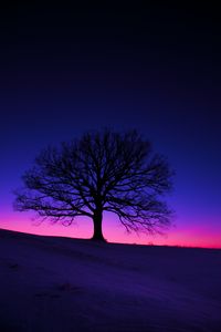 Preview wallpaper tree, silhouette, field, dusk, dark