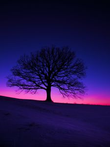 Preview wallpaper tree, silhouette, field, dusk, dark