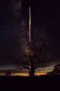Preview wallpaper tree, silhouette, freezelight, stars, sky, nature