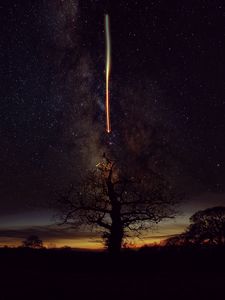 Preview wallpaper tree, silhouette, freezelight, stars, sky, nature