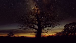 Preview wallpaper tree, silhouette, freezelight, stars, sky, nature