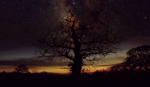 Preview wallpaper tree, silhouette, freezelight, stars, sky, nature
