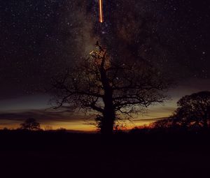 Preview wallpaper tree, silhouette, freezelight, stars, sky, nature