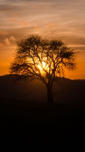 Preview wallpaper tree, silhouette, hills, dark