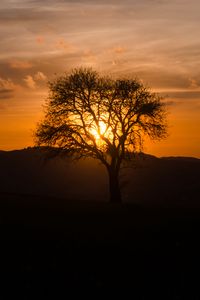Preview wallpaper tree, silhouette, hills, dark