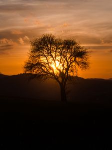 Preview wallpaper tree, silhouette, hills, dark