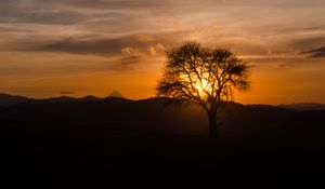 Preview wallpaper tree, silhouette, hills, dark