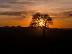 Preview wallpaper tree, silhouette, hills, dark