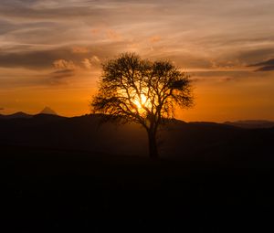 Preview wallpaper tree, silhouette, hills, dark