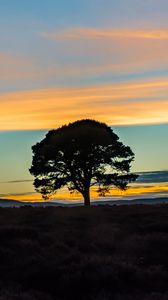 Preview wallpaper tree, silhouette, horizon