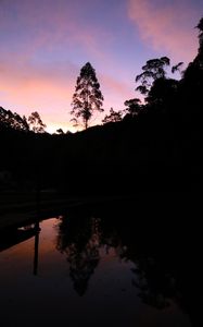 Preview wallpaper tree, silhouette, lake, sunset, reflection