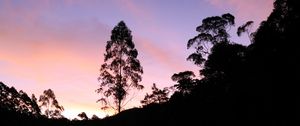 Preview wallpaper tree, silhouette, lake, sunset, reflection