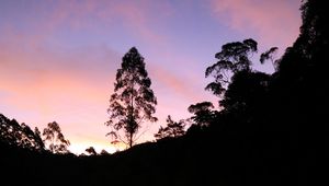 Preview wallpaper tree, silhouette, lake, sunset, reflection